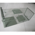 Animal Trap Single Door Live Animal Cage trap